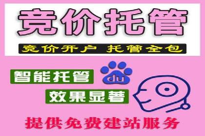 某知名品牌网络推广竞价全解析